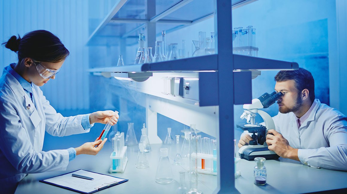 معرض الصور 1