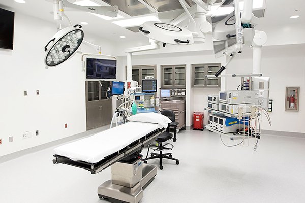 معرض الصور 6